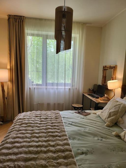 Exquisite Euphoria For 4 Guests In Daire Borovets
